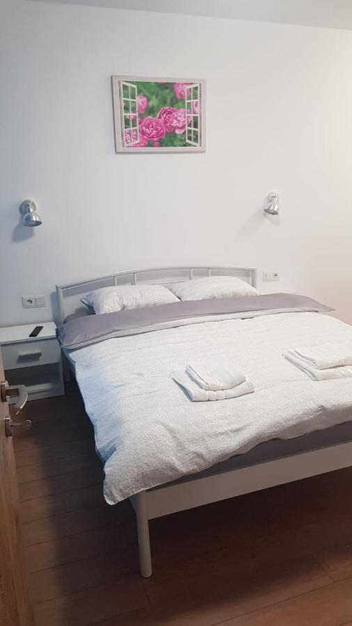Apartament 1 Budiu Тиргу-Муреш Екстер'єр фото